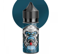 Рідина для електронних сигарет Flavorlab FL 350 Blueberry Menthol