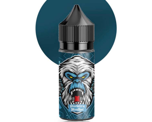 Рідина для електронних сигарет Flavorlab FL 350 Blueberry Menthol